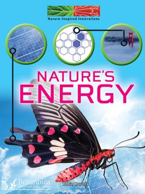 Cover of the book Nature's Energy by J. Jean Robertson