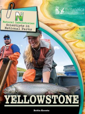 Cover of the book Yellowstone by Anne Rooney
