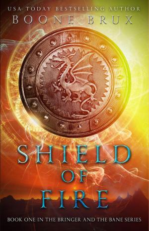 Cover of the book Shield of Fire by Russ Linton