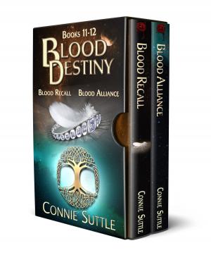 Cover of the book Blood Destiny II by Connie Suttle