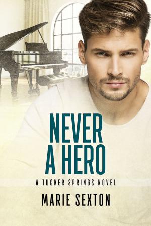 Cover of the book Never a Hero by Caitlin Ricci