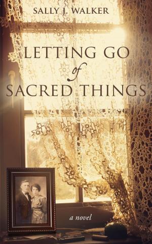 Cover of the book Letting Go of Sacred Things by Marjan Emmerson