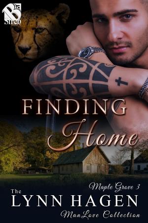 Cover of the book Finding Home by Dixie Lynn Dwyer