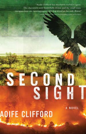 Cover of the book Second Sight: A Novel by Jim McDonald