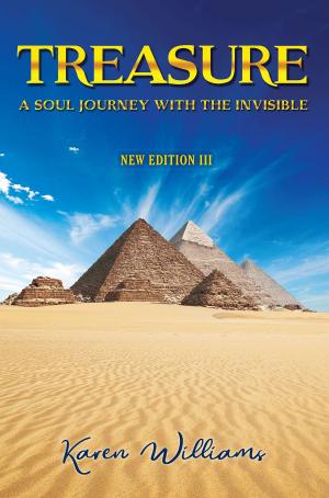 Cover of the book Treasure: A Soul Journey With The Invisible New Edition lll by Mark McGunegill