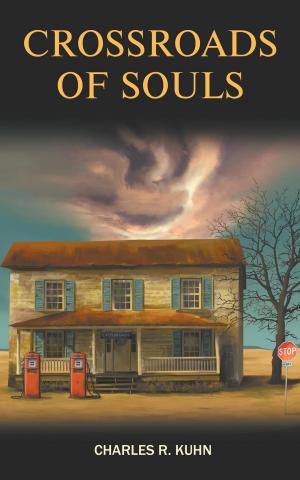 Book cover of Crossroads of Souls
