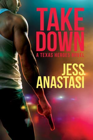 Cover of the book Take Down by L.J. LaBarthe