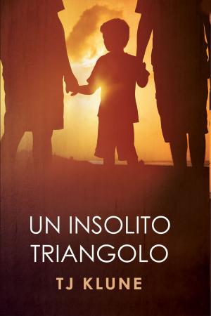bigCover of the book Un insolito triangolo by 