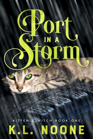 Cover of the book Port in the Storm by J.T. Marie