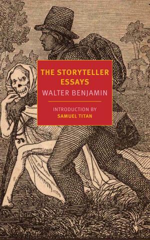 Book cover of The Storyteller Essays