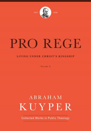 Cover of the book Pro Rege (Volume 3) by Michael S. Heiser