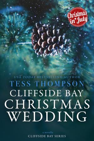 Book cover of Christmas Wedding
