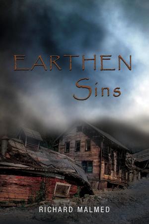 bigCover of the book EARTHEN SINS by 
