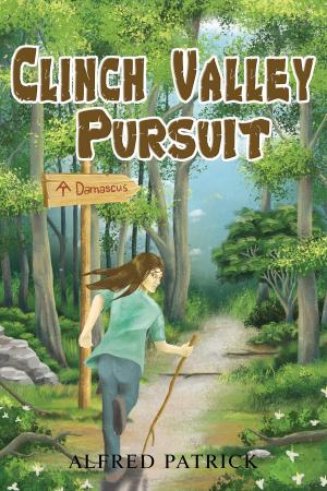 Book cover of CLINCH VALLEY PURSUIT
