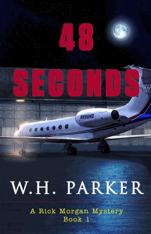 Cover of the book 48 Seconds by Garrett Robinson