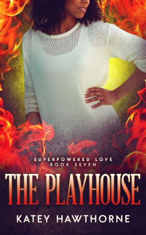 Cover of Superpowered Love 7: The Playhouse