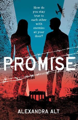 Cover of the book Promise by Randa Abdel-Fattah