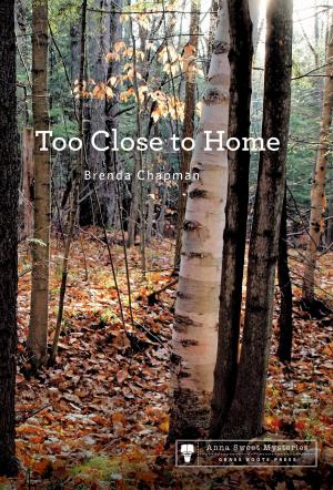 Cover of the book Too Close to Home by Brooke M Shaffer