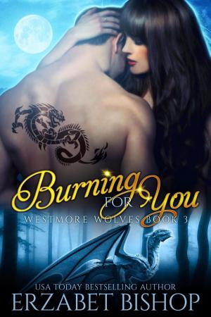 Cover of the book Burning For You by Erzabet Bishop