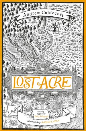Cover of the book Lost Acre by Anna Mindess