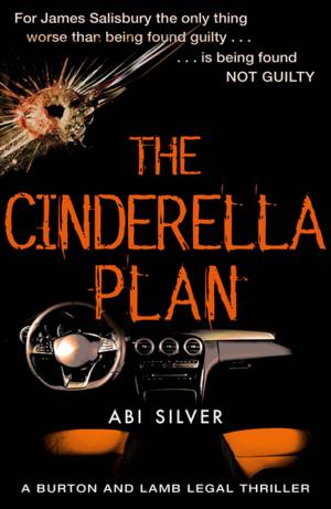Cover of the book The Cinderella Plan by Peter Burden, Julia Dillon