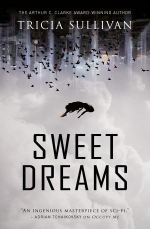 Cover of the book Sweet Dreams by Anne Avery