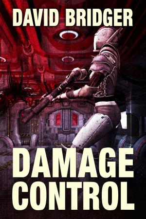 Cover of the book Damage Control by Ian K Pickup