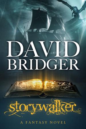 bigCover of the book Storywalker by 