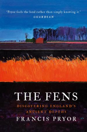 Cover of the book The Fens by Nadine Dorries