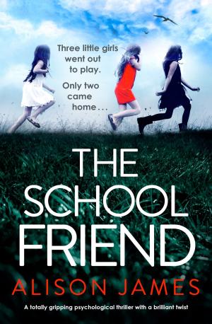 Cover of the book The School Friend by Frances Vick