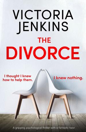Book cover of The Divorce