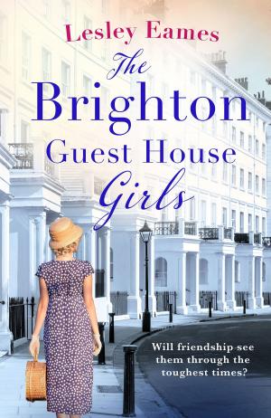 Cover of the book The Brighton Guest House Girls by Diney Costeloe