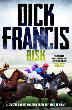Cover of the book Risk by Federico Bini
