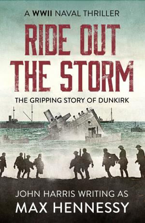 Cover of the book Ride Out the Storm by Anna King