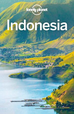 Cover of the book Lonely Planet Indonesia by Lonely Planet, Carolyn McCarthy, Kevin Raub, Regis St Louis, Cathy Brown, Mark Johanson