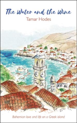 Cover of the book The Water and the Wine by Victoria Delderfield