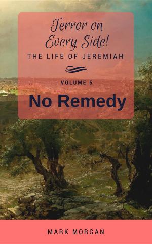 Cover of the book No Remedy by Susan Page Davis