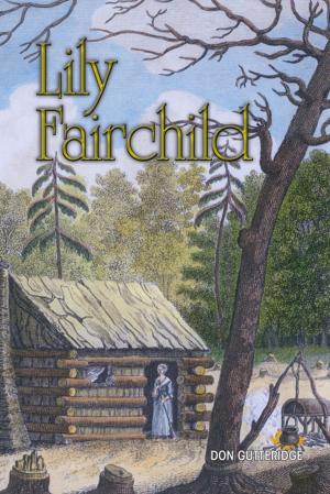 Cover of the book Lily Fairchild by Dellandra Adams