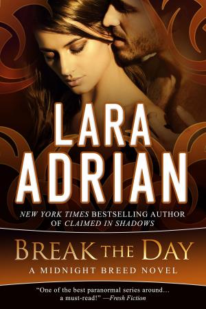 Book cover of Break the Day