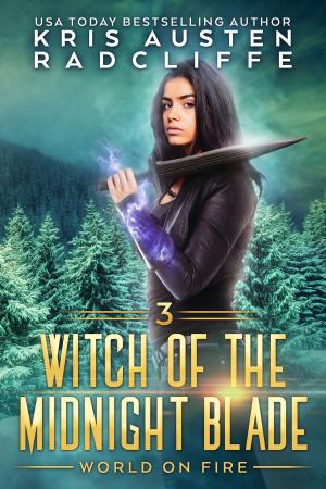 Cover of the book Witch of the Midnight Blade Part Three by Anne B. Walsh