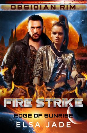 Cover of the book Fire Strike by Britt Ringel