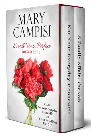 Cover of the book Small Town Perfect Boxed Set 5 by Mary Campisi