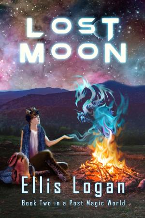 Cover of Lost Moon: Book Two in a Post Magic World