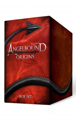 Cover of the book Angelbound Origins Collection by Sue Perry