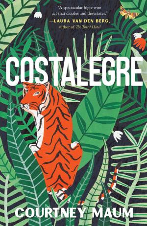 bigCover of the book Costalegre by 