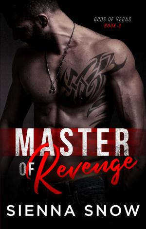 bigCover of the book Master of Revenge by 