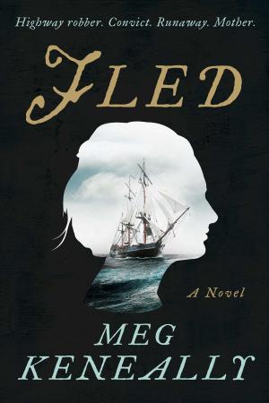 Cover of the book Fled by Jeffrey Fleishman