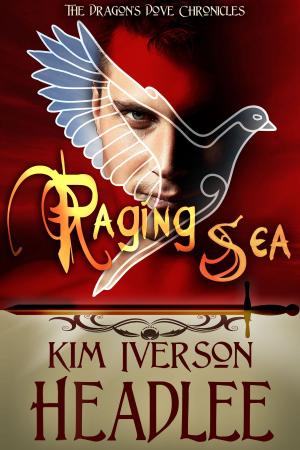 Cover of the book Raging Sea by Robert B. Parker