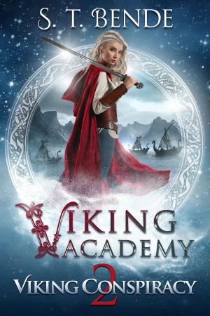 Book cover of Viking Academy: Viking Conspiracy