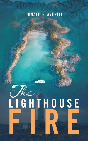 Cover of the book The Lighthouse Fire by David  William Kirby
